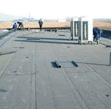 Specialisti In Izolatii Bucuresti