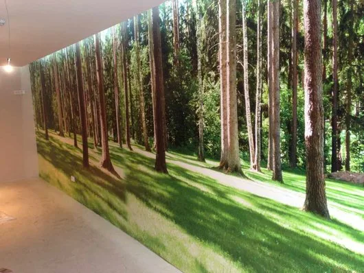 Printuri - colantari - montaj tapet Bucuresti