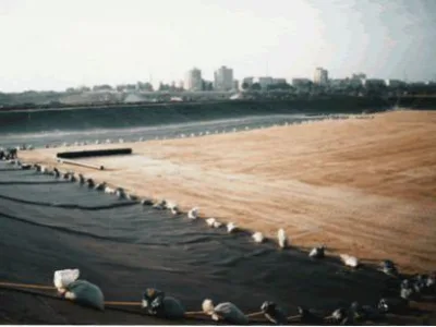 Bucuresti - Constructii si ecologie