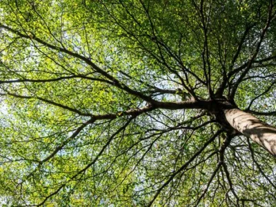 Cabinet de avocat Bucuresti