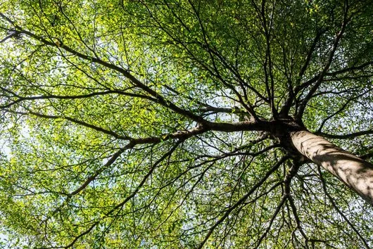 Cabinet de avocat Bucuresti