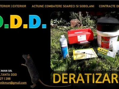 Dezinsectie - Deratizare si Dezinfectie Bucuresti - Ilfov