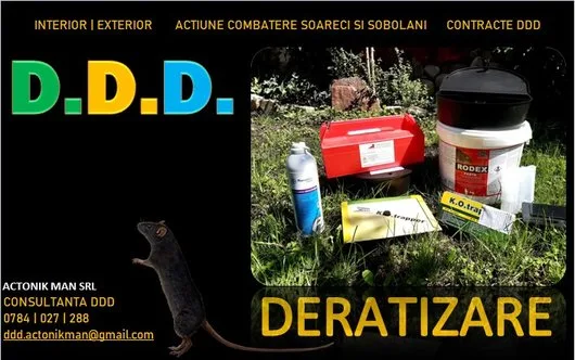 Dezinsectie - Deratizare si Dezinfectie Bucuresti - Ilfov