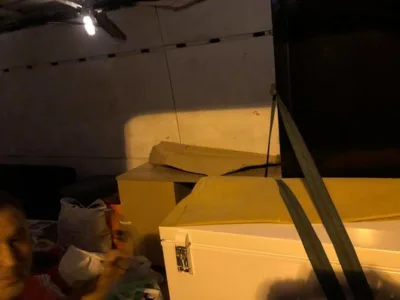 Ninel Transport Bucuresti