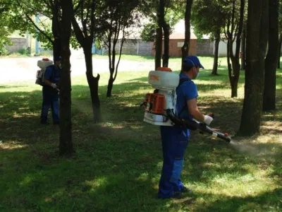 Servicii DDD Bucuresti