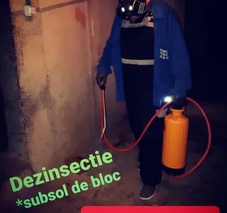 Servicii DDD Bucuresti