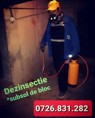 Servicii DDD Bucuresti
