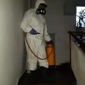 Servicii DDD Bucuresti