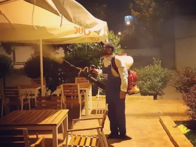 Servicii DDD Bucuresti