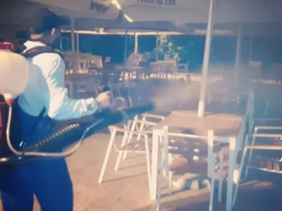 Servicii DDD Bucuresti