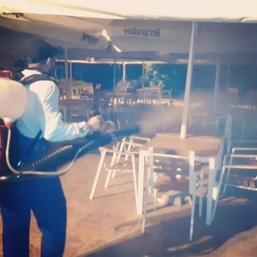 Servicii DDD Bucuresti