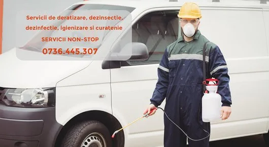Larvet Dezinsectie Deratizare Non -Stop Bucuresti