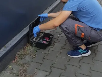 Deratizare - dezinsectie si dezinfectie - Bucuresti