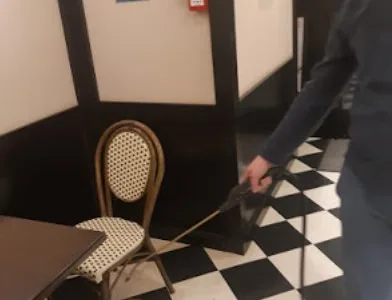 Deratizare - dezinsectie si dezinfectie - Bucuresti