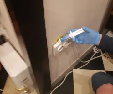 Deratizare - dezinsectie si dezinfectie - Bucuresti