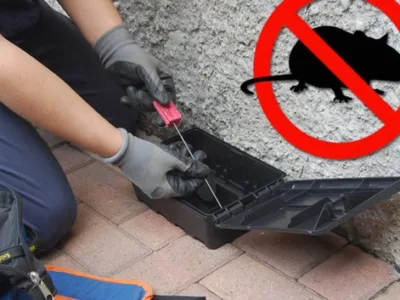 Servicii DDD Bucuresti