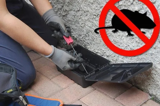 Servicii DDD Bucuresti