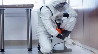 Servicii DDD Bucuresti