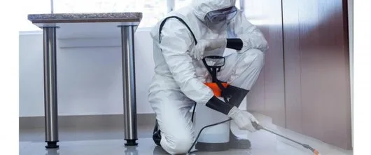 Servicii DDD Bucuresti