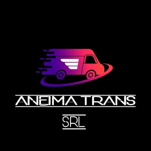 Servicii transport - relocari Ilfov