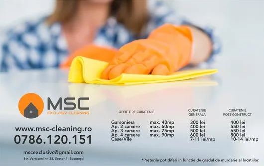 Servicii curatenie Bucuresti