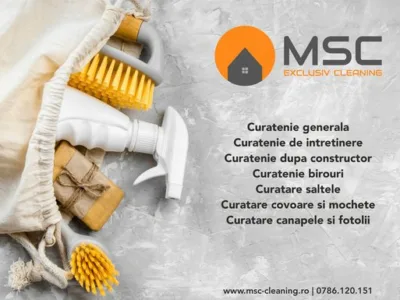 Servicii curatenie Bucuresti