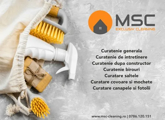 Servicii curatenie Bucuresti
