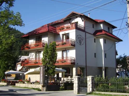 Tamplarie PVC - aluminiu si lemn stratificat - Brasov