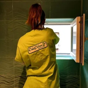 Servicii curatenie Bucuresti