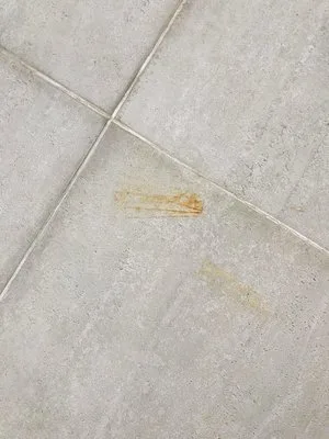 Servicii curatenie Bucuresti