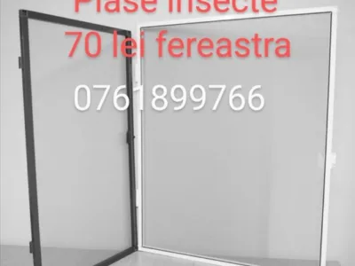 Plase tantari/insecte Bucuresti si Ilfov