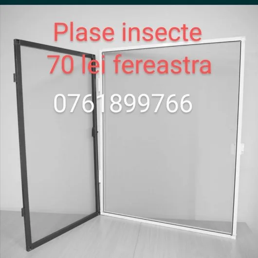 Plase tantari/insecte Bucuresti si Ilfov