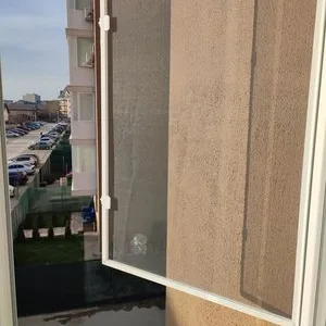 Plase tantari/insecte Bucuresti si Ilfov