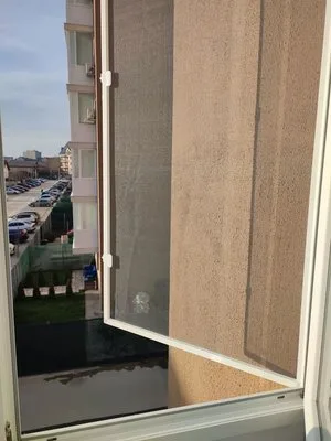 Plase tantari/insecte Bucuresti si Ilfov