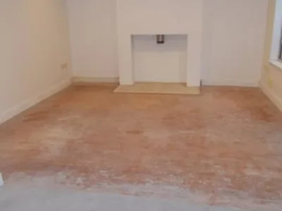 Firma curatenie Bucuresti