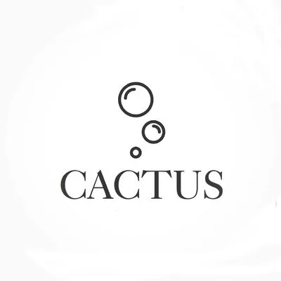 Servicii curatenie Bucuresti