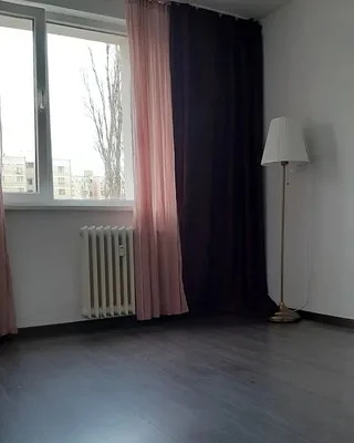 Servicii curatenie Bucuresti