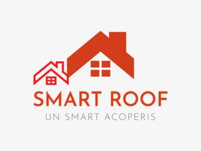 Montaj - reparatii acoperisuri