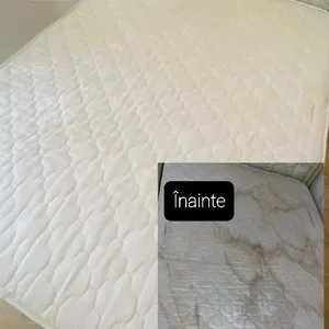 Curatatorie covoare Ilfov