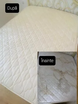 Curatatorie covoare Ilfov