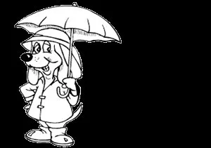 Hidroizolatii termohidro profesionale Bucuresti