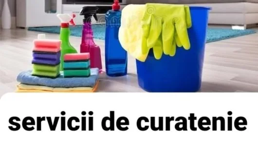 Servicii de curatenie