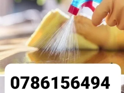 Servicii de curatenie