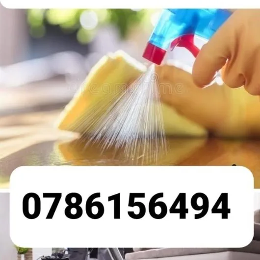 Servicii de curatenie