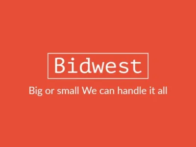 Servicii profesionale de mutari