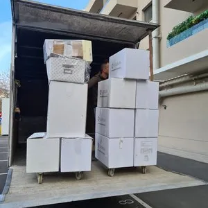 Servicii profesionale de mutari