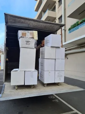 Servicii profesionale de mutari