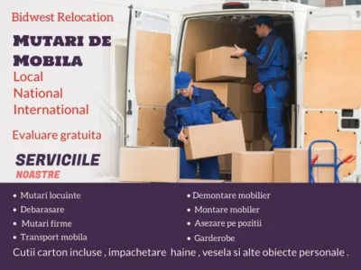 Servicii profesionale de mutari