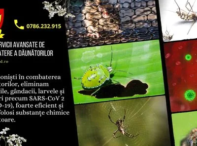Dezinsectie - Deratizare Bucuresti - Ilfov