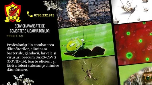 Dezinsectie - Deratizare Bucuresti - Ilfov